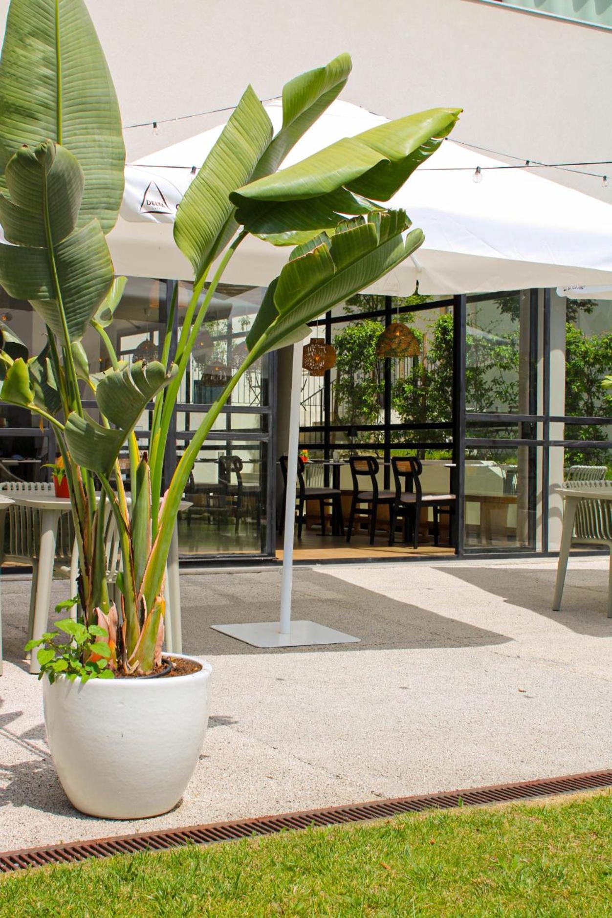 Urban - Regras 45 & Garden B Bed & Breakfast
